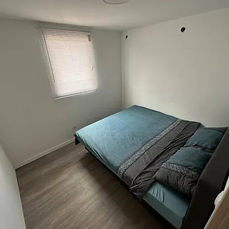 Modular House New
